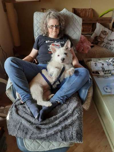 Hundetreffen-Einfach laufen. quatschen, Spaß haben, neue Wege und Gebiete kennen lernen-Bild