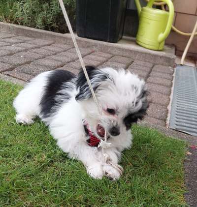 Foto-Challenge Nr. 90: Lebensfreude-Beitrag-Bild