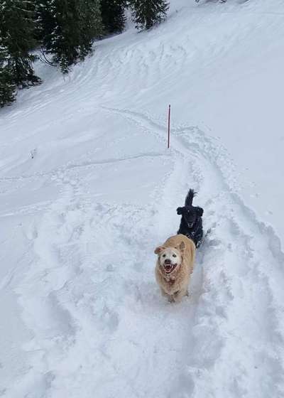 Arthrose! Nützliche Tipps-Beitrag-Bild