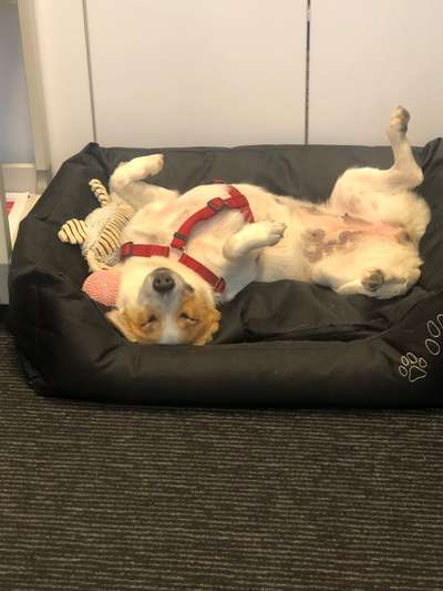 Die unbequemsten und lustigsten Schlafpositionen-Beitrag-Bild