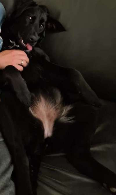 Fotochallenge Nr.65-Beitrag-Bild