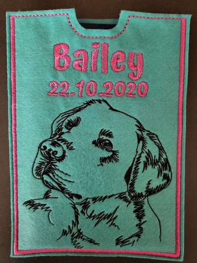 Impfpasshülle ja/nein?-Beitrag-Bild