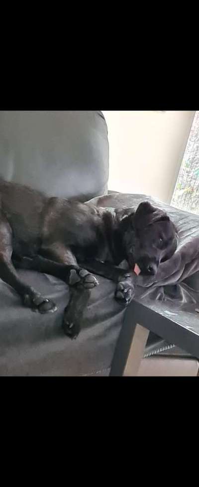 Tongue Out Tuesday-Beitrag-Bild