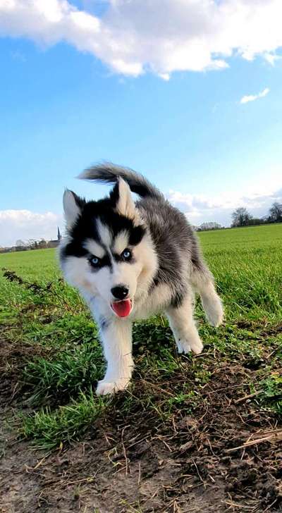 Foto Challenge 3-Beitrag-Bild