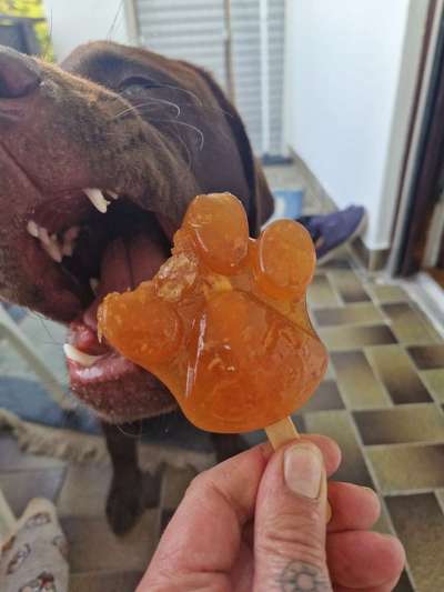 146. Foto Challenge: Maulaufreisser-Beitrag-Bild