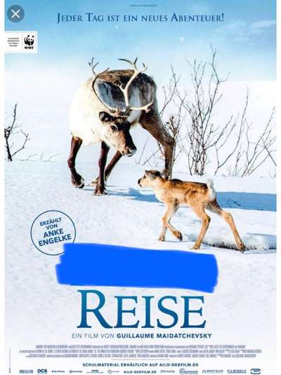 Wie heißt dein Hund?-Beitrag-Bild