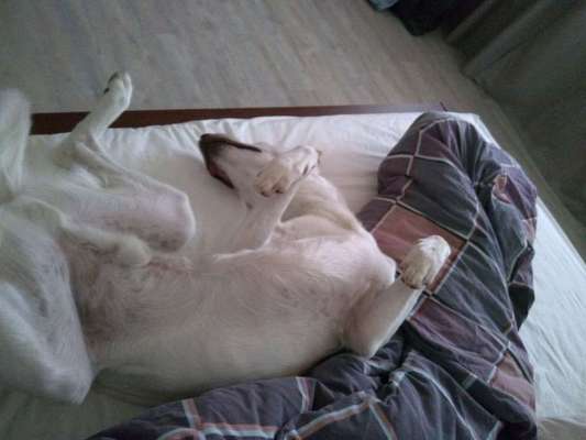 Schlafposition-Beitrag-Bild