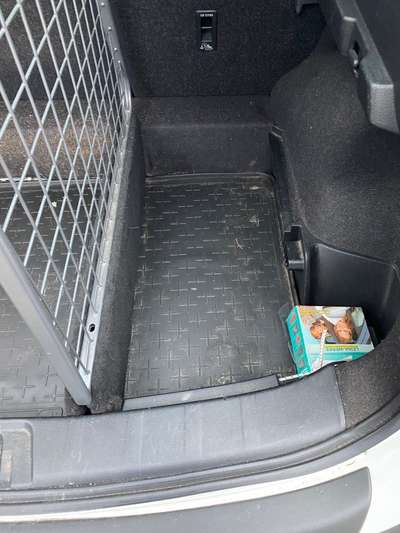 Hunde Autotransport Travall Guard, Divider & Matt - Qashqai[J11]-Beitrag-Bild