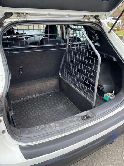 Hunde Autotransport Travall Guard, Divider & Matt - Qashqai[J11]-Beitrag-Bild