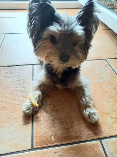 44. Impulskontrolle Callenge: ,,Essen ins Gesicht legen"-Beitrag-Bild