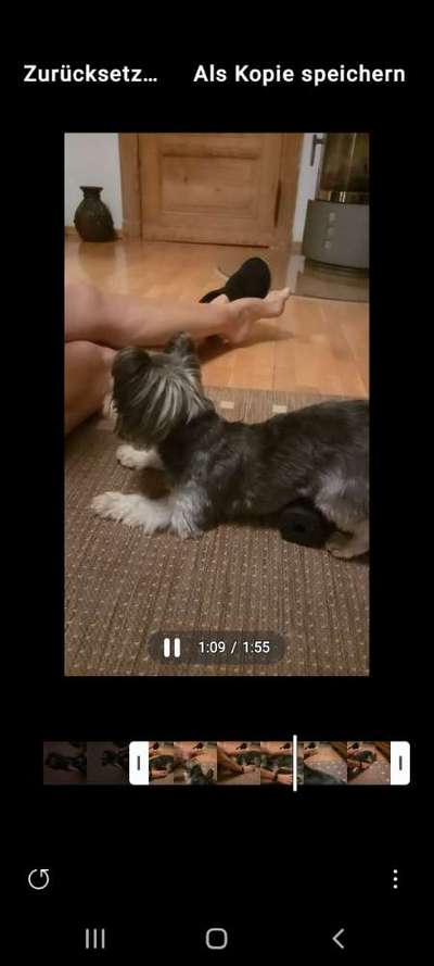 Trickchallenge - ich packe meinen 5. Koffer-Beitrag-Bild