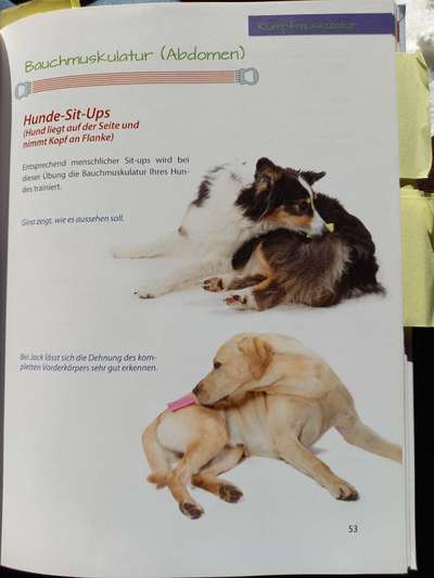 Veteranenzone - Koffer packen für fortgeschrittene-Beitrag-Bild