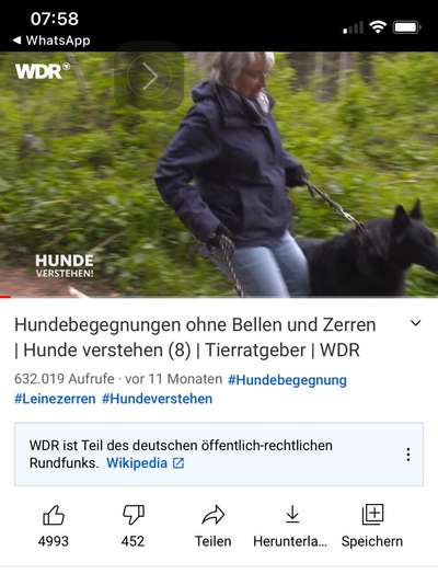 Leinenführigkeit & Pöbeln-Beitrag-Bild