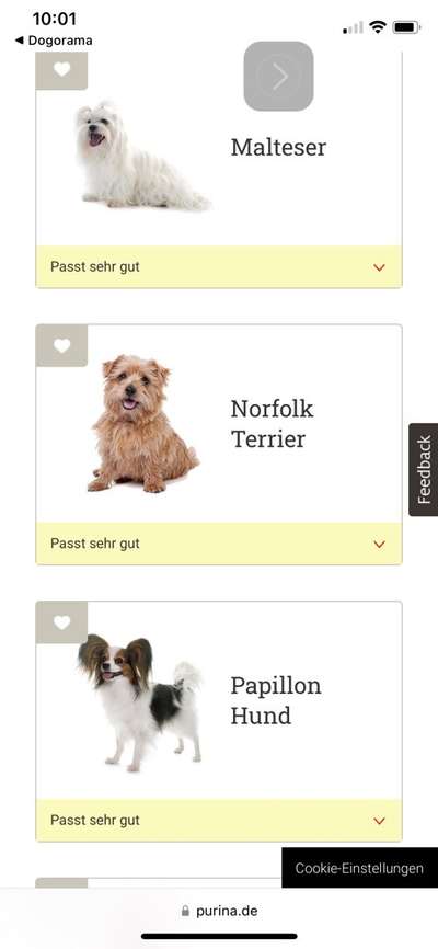 Habe ich den richtigen Hund?-Beitrag-Bild