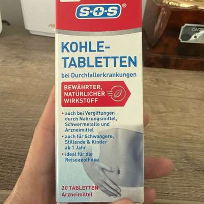 Durchfall bei Läufigkeit?-Beitrag-Bild