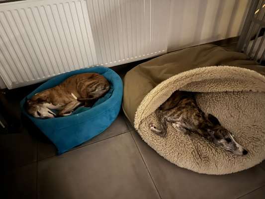 Was hat euch heute gefreut?-Beitrag-Bild