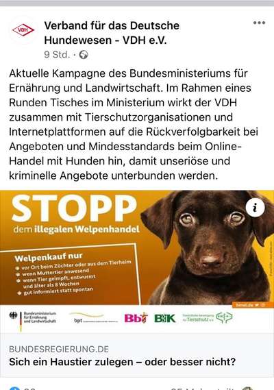 Gefährliche Entwicklung...-Beitrag-Bild