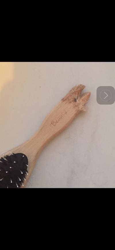 Geschreddert!-Beitrag-Bild