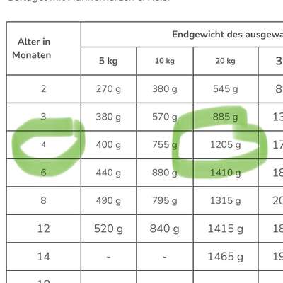 Welpe hat Dauerhunger?-Beitrag-Bild