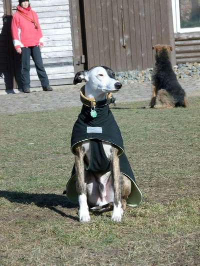 Was darf eine Stunde beim Trainer kosten?-Beitrag-Bild