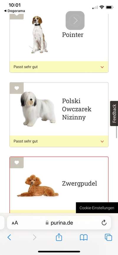 Habe ich den richtigen Hund?-Beitrag-Bild