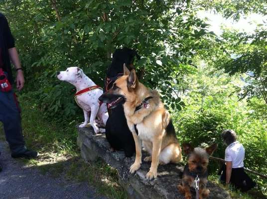 Was darf eine Stunde beim Trainer kosten?-Beitrag-Bild