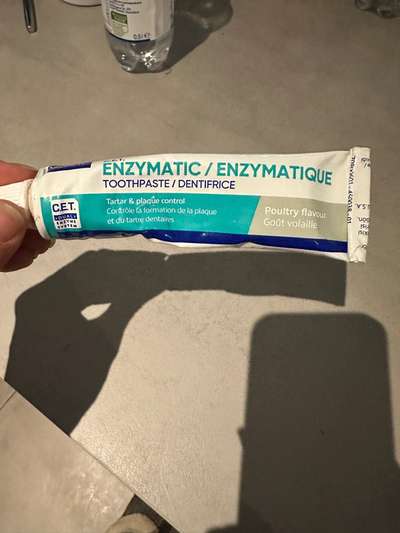 Welche Zahnpasta für den Hund könnt ihr Empfehlen?-Beitrag-Bild