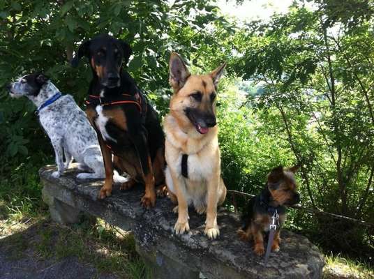 Was darf eine Stunde beim Trainer kosten?-Beitrag-Bild