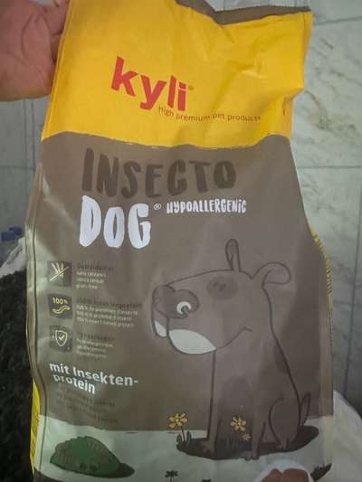 Vegan Hundefutter für Allergiker-Beitrag-Bild