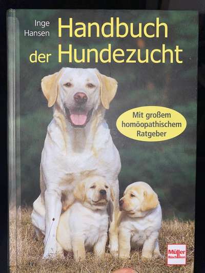 Trächtigkeit-Beitrag-Bild