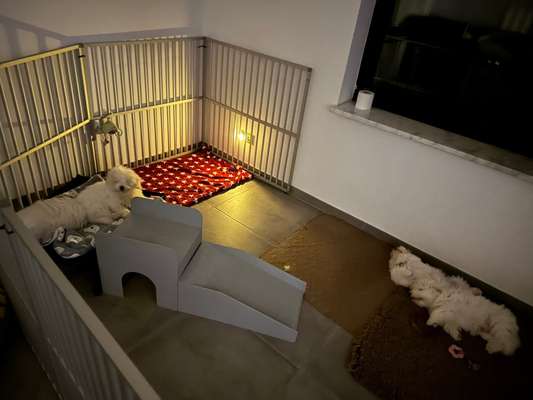 Was hat euch heute gefreut?-Beitrag-Bild