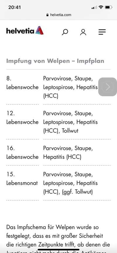 Welche Impfungen sind sinnvoll?-Beitrag-Bild
