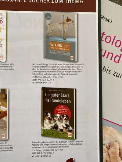 Tipps und Tricks für alle Erst-Welpenbesitzer-Beitrag-Bild