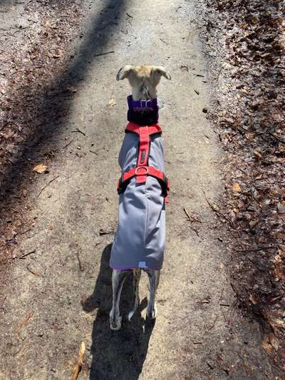 Geschirrauswahl-Beitrag-Bild