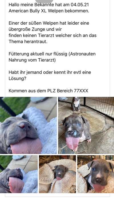 Von Ups-Würfen und der Corona Zeit-Beitrag-Bild