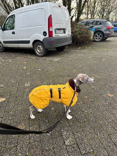 Wintermäntel bzw. Was fürn Übergang-Beitrag-Bild