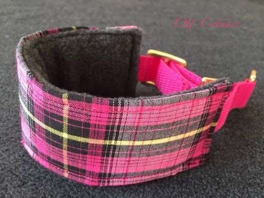 Welches Halsband trägt dein Hund und warum dieses?-Beitrag-Bild