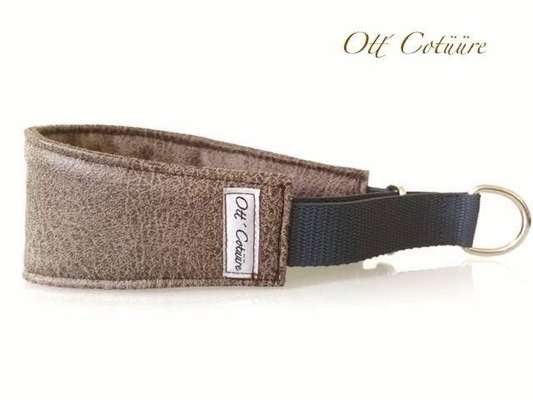 Welches Halsband trägt dein Hund und warum dieses?-Beitrag-Bild