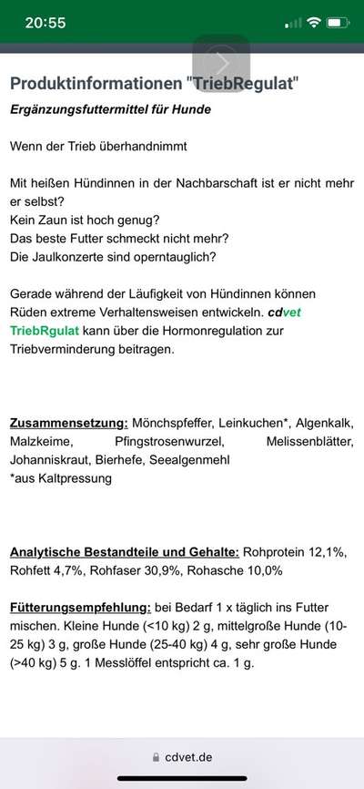 Liebeskranker Rüde-Beitrag-Bild