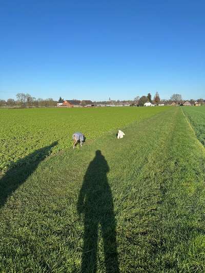 Was hat euch heute gefreut?-Beitrag-Bild