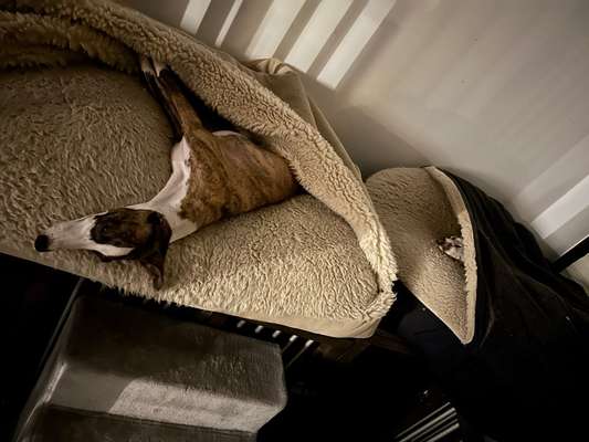 Was hat euch heute gefreut?-Beitrag-Bild