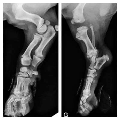 Ab Wann Raus-Beitrag-Bild