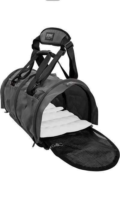 Hunderucksack-Beitrag-Bild