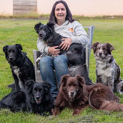 Medizinische Dienstleistungen-Waufit Mobile Tierphysiotherapie-Bild
