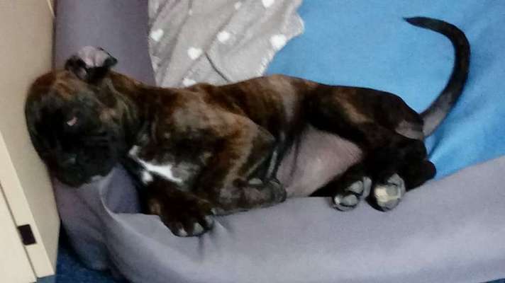 Sie werden so schnell erwachsen ...-Beitrag-Bild