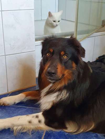 Fotochallenge No. 5-Beitrag-Bild