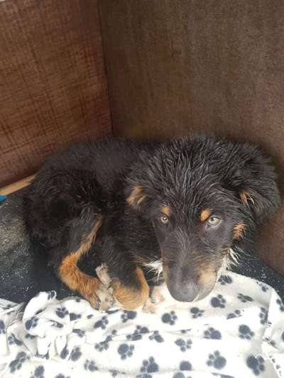 Foto Challenge - BEENDET - bitte aktuelle Challenge nutzen-Beitrag-Bild