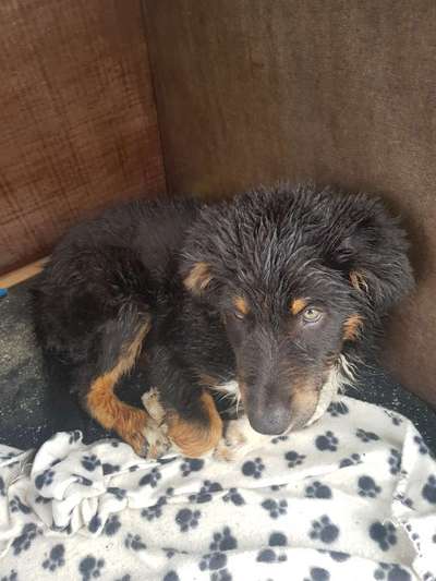 Fotochallange Nr. 6 Die irrsten Blicke-Beitrag-Bild