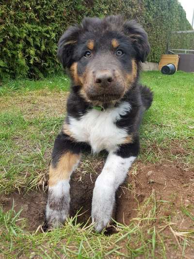 Foto Challenge 3-Beitrag-Bild