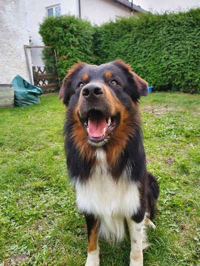 Immer lächeln !-Beitrag-Bild